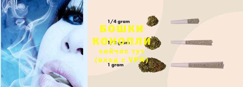 что такое   Волоколамск  Бошки марихуана THC 21% 